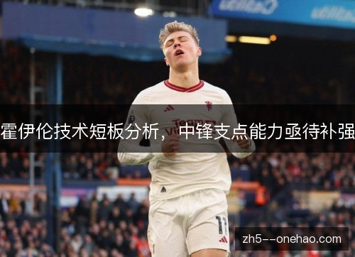 霍伊伦技术短板分析，中锋支点能力亟待补强